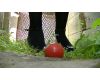 [Video] foot Hihokan  tomato crash ya Gaihen  Kiyoka