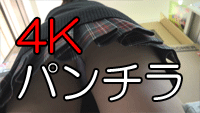 【4K撮影】コピーに夢中で全く気付かない子を2つのカメラで…【4K+フルHD+アンケート】