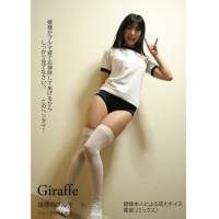 【12本セット】　絶対領域　ブルマ　パンチラ　チラリズム　スペシャル　期間限定　JK