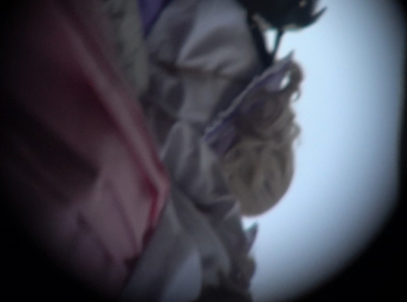 ハロウィンコスプレ 某会場を下から散策2