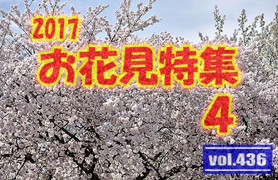 vol.436：2017年 お花見特集 第４弾