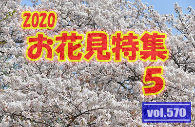 vol.570：2020年 お花見特集 第５弾