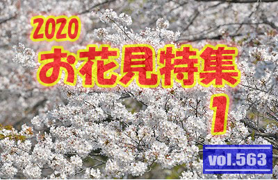 vol.563：2020年 お花見特集 第１弾
