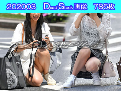 DS画像 202003版