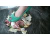 [Video] foot Hihokan  Chinese cabbage and pork pot crash  Kiyo