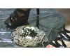 [Video] sole Hihokan  buckwheat crash  kiyoka