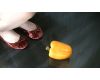 [Video] sole Hihokan  paprika crash  Kiyoka