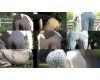 Park landscape in the afternoon VOL.31 Young moms' ass panty lin