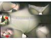 Vol.49 和式トイレ便所リアル脱ぎ履き美人パンストもじもじクネクネ