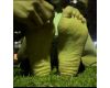 Haruna, 24.5 cm sole tickling! 1 minute 55 seconds