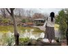 Part53Japanese girl walks barefoot in the winter park