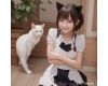 cat's-ear maid