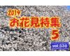 vol.530：2019年 お花見特集 第５弾