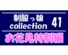 制服っ娘 collection 41【お花見特別編】