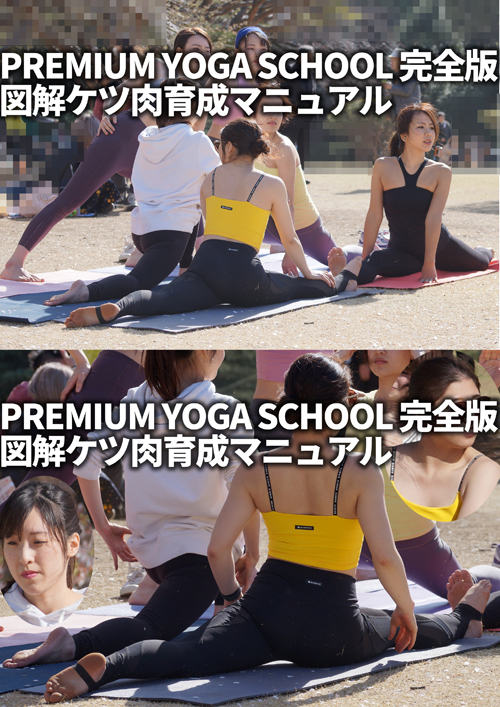 PREMIUM YOGA SCHOOL 図解ケツ肉育成マニュアル 完全版 gallery photo 3