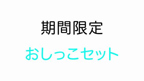 【期間限定】おしっこセット