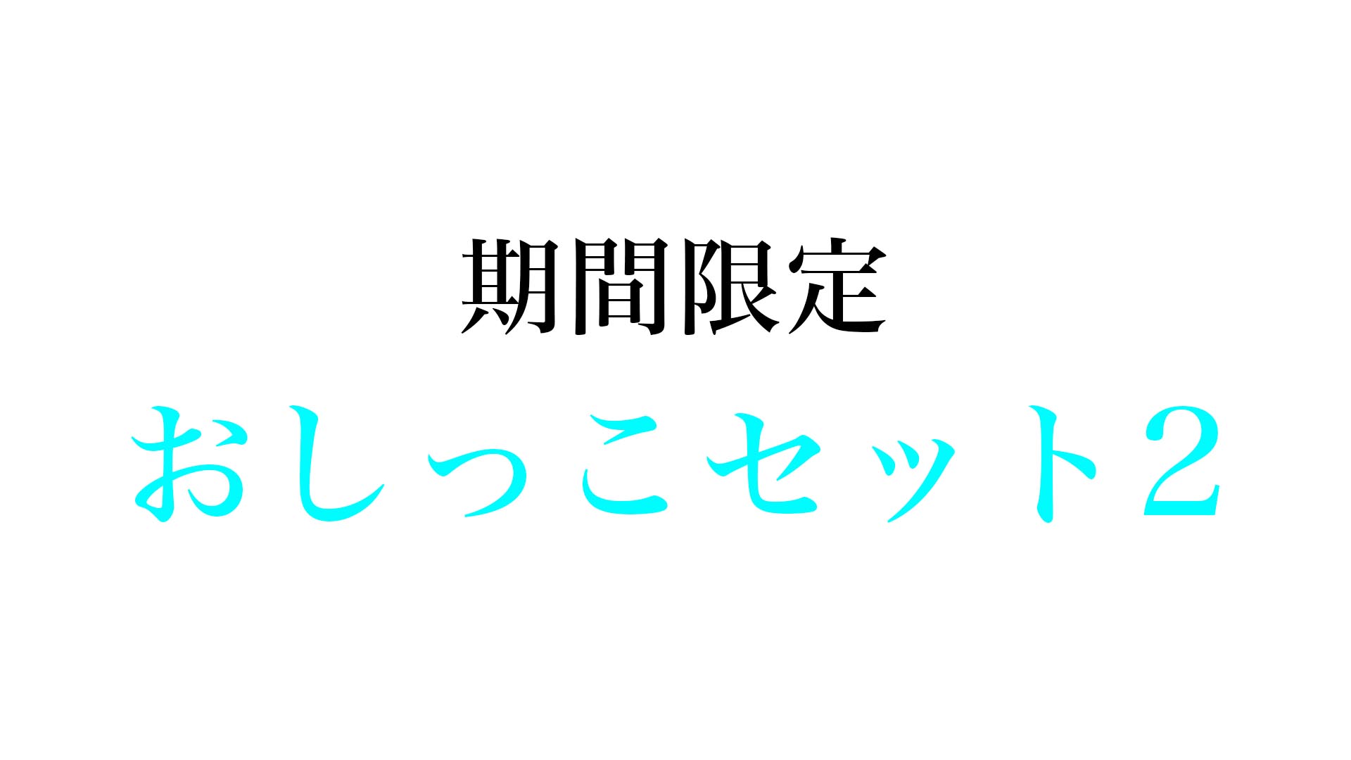 【期間限定】おしっこセット 2