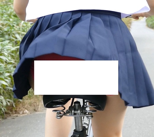 自転車パンチラ訳してチャリチラ！高画質編　?36 gallery photo 3