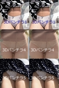 3Dパンチラ 1、4、5セット 3Dパンチラ 1、4、5セット