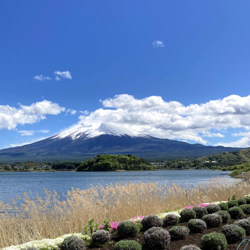 ５月の富士山