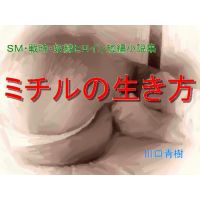 SM / Wartime / Save Heroine Short Story Collection "Michiru's W