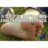 ޥ­΢Υǥƻ FINAL EDITION RESTOCK