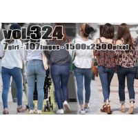 vol324-ԤԤȥǥ˥οߥҥåץ饤P饤