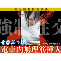 【窃触窃挿フル50分超/私服K】一生忘れない。夏休みに乗った電車での出来事