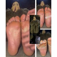 ͥ24cm­΢­ĥܥѡ5ʬ4