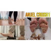 Angel Crush1