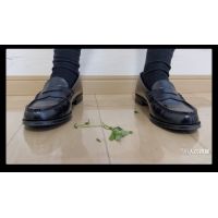 [Crush] The grass is stepped on by the loafers underfoot (J2_040