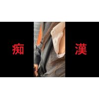 日本の車窓から【本日の混み具合】EP152