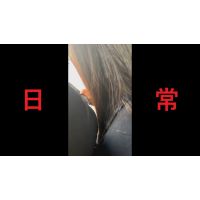 日本の車窓から【本日の混み具合】EP161