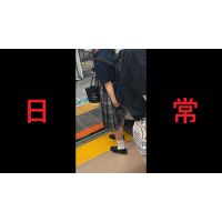 日本の車窓から【本日の混み具合】EP150