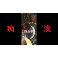 日本の車窓から【本日の混み具合】EP１６０ 