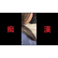 日本の車窓から【本日の混み具合】EP162