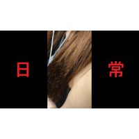 日本の車窓から【本日の混み具合】EP１３３ 