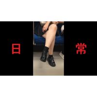 日本の車窓から【本日の混み具合】EP130