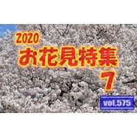 vol.575：2020年 お花見特集 第７弾