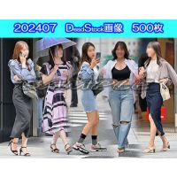 ＤＳ画像 202407版  