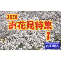vol.563：2020年 お花見特集 第１弾