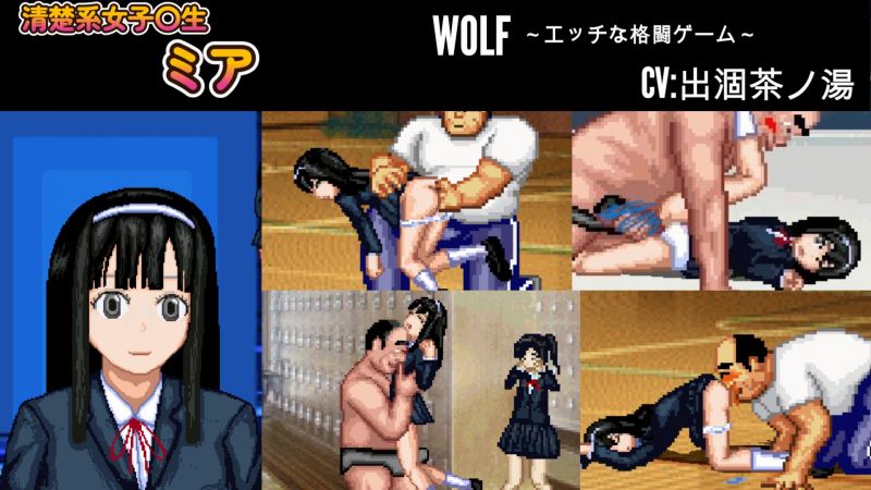 WOLF〜アップデート型のエッチな格闘ゲーム（動画ではなくPCゲームです）