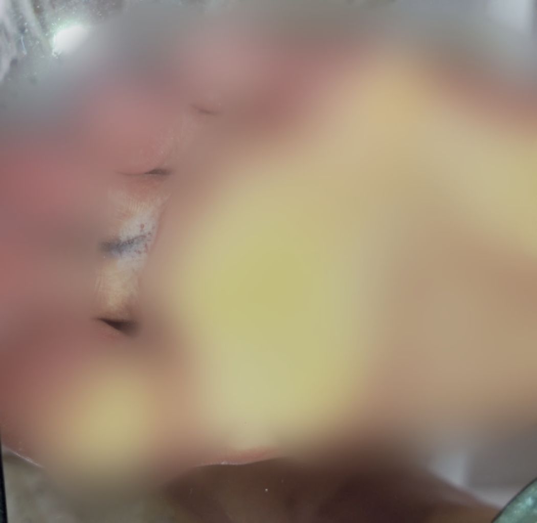 Thumbnail of post image 182