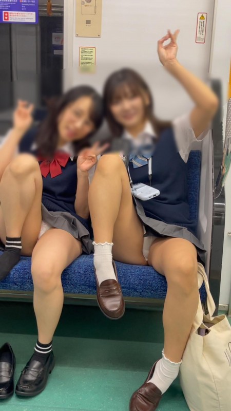 Gcolle 撮影日記216　超久しぶりの二人組！！グレーのスカートが激カワな癒し系Jを電車内で撮影【※27分超撮影 991042