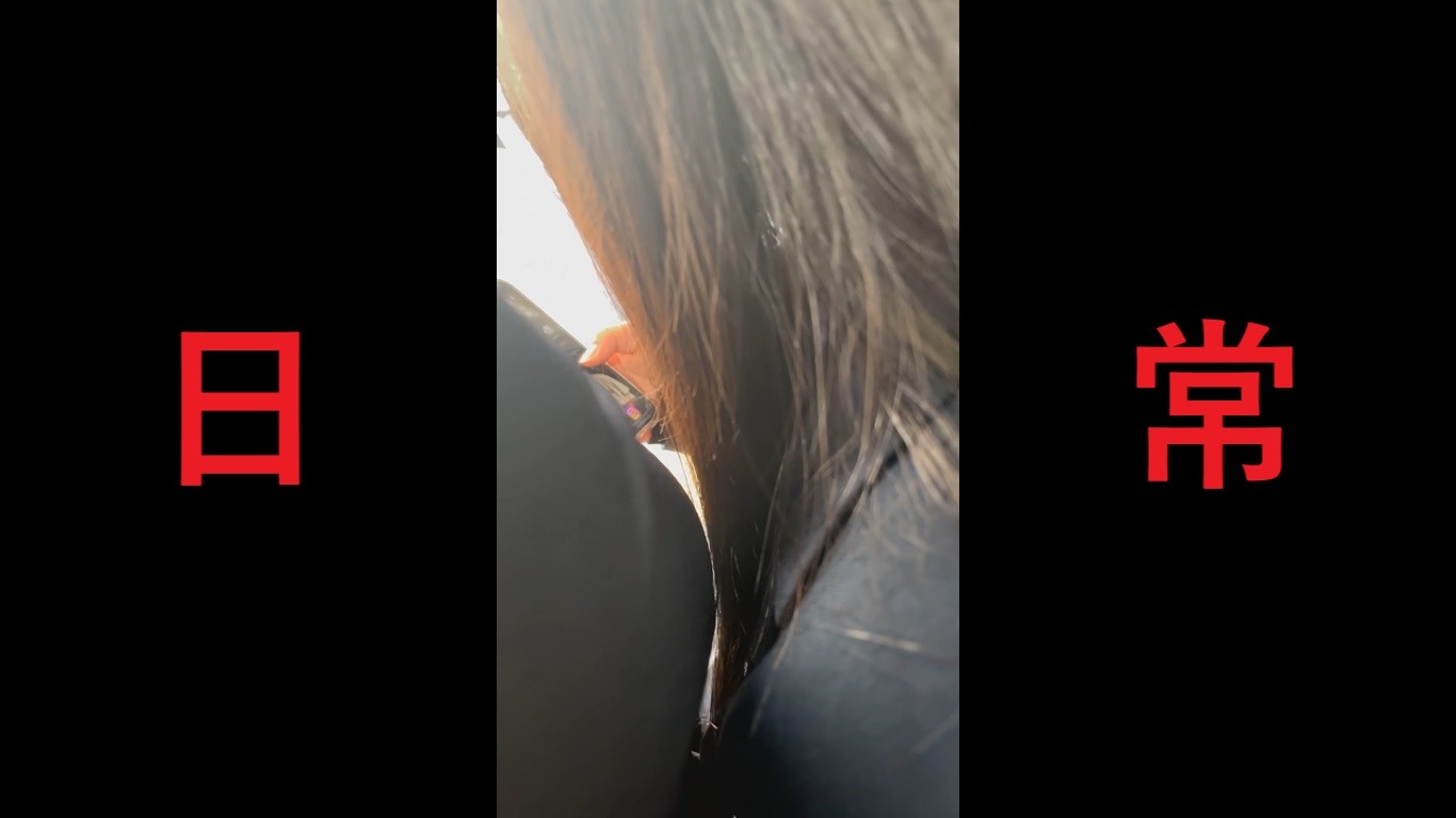 Gcolle 日本の車窓から【本日の混み具合】EP161 994658