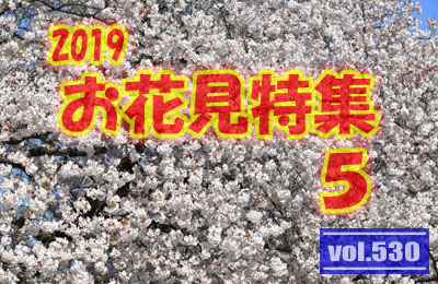 vol.530：2019年 お花見特集 第５弾