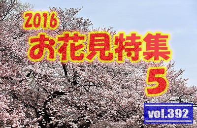 vol.392：2016年 お花見特集 第５弾