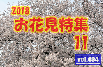 vol.484：2018年 お花見特集 第11弾