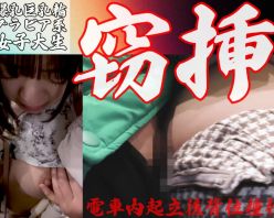 Gcolle PPV 977962 【完全期間限定/窃挿行為】一発実刑沙汰。