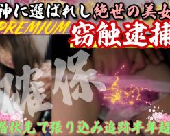 Gcolle PPV 979531 [伝説の獲物/完全降伏]絶世の重要窃触指名手配者確保。即触即倒万歳屈服